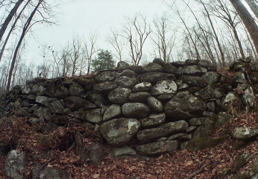 High Vistas and Historic Homesteads